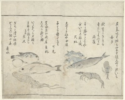 Deniz hayvanları by Kitao Masayoshi