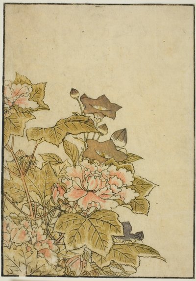 Sonbahar Çiçekleri: Peonies and Bellflowers, "Zevk Alanlarının Güzel Kadınlarının Aynası (Seiro bijin awase sugata kagami)" kitabından, cilt. ２ by Kitao Shigemasa
