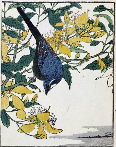 Ağaçtaki kuş. Kitao Kosuisai tarafından Japon çizimi by Kitao Shigemasa