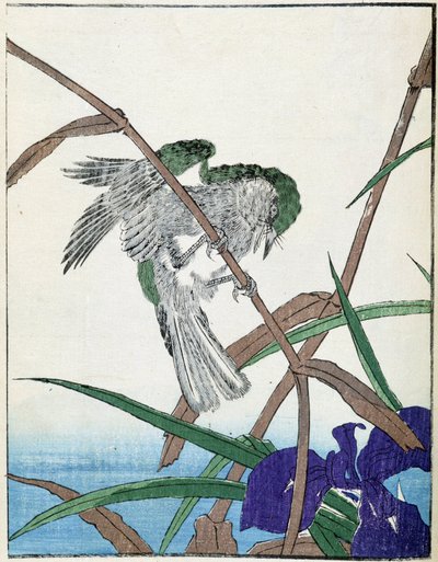 Ağaçtaki kuş. Kitao Kosuisai tarafından Japon çizimi by Kitao Shigemasa
