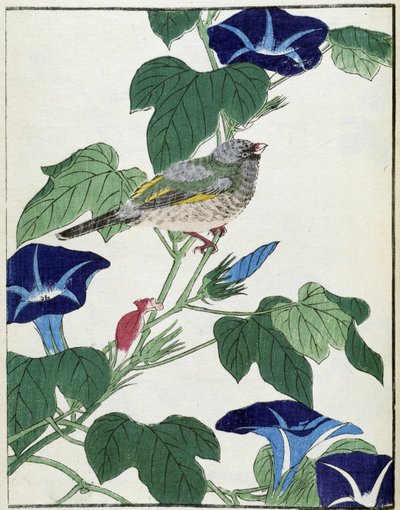 Ağaçtaki kuş. Kitao Kosuisai tarafından Japon çizimi by Kitao Shigemasa