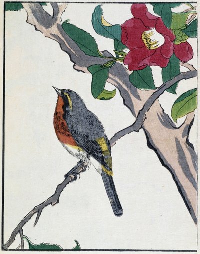 Kitao Kosuisai tarafından Japon çizimi by Kitao Shigemasa
