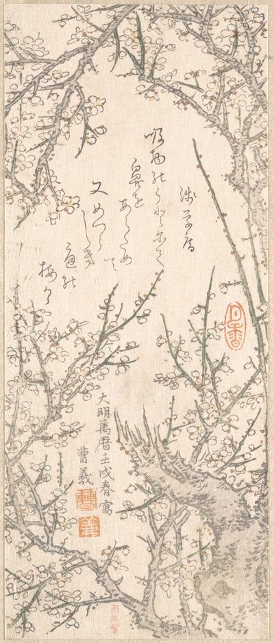 Blossom