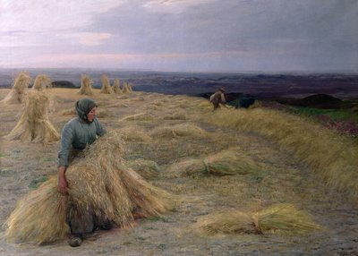 Biçerdöverler, Svinklov-Viildemosen, Jutland by Knud Larsen