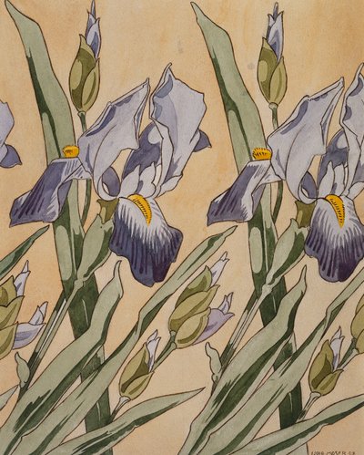 İris, 1898 by Koloman Moser