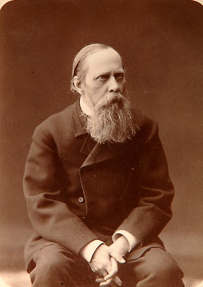 Mikhail Saltykov-Shchedrin, Rus yazar, 1880