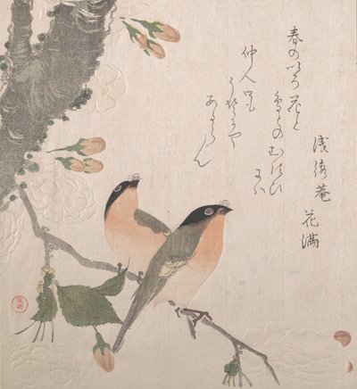 Şakrakkuşları ve Kiraz Çiçekleri, 19. yüzyıl. by Kubo Shunman