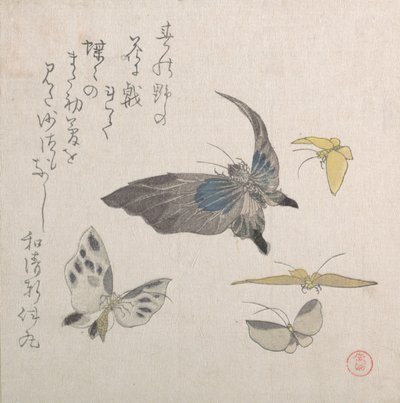 Kelebekler, 19. yüzyıl. by Kubo Shunman