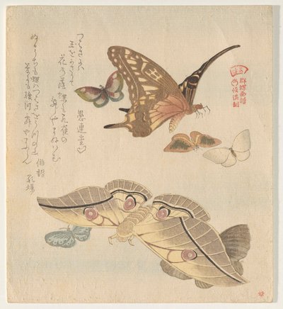 Kelebekler ve güveler, A Flock of Butterflies serisinden (Gunch? Gafu) by Kubo Shunman