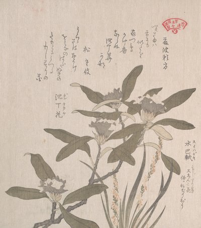 Daphne odora ve Mojisuri-so, 19. yüzyıl. by Kubo Shunman
