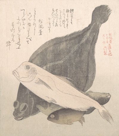 Pisi Balığı ve Diğer Balıklar, 19. yüzyıl. by Kubo Shunman