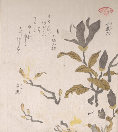 Manolya Çiçekleri, 19. yüzyıl. by Kubo Shunman