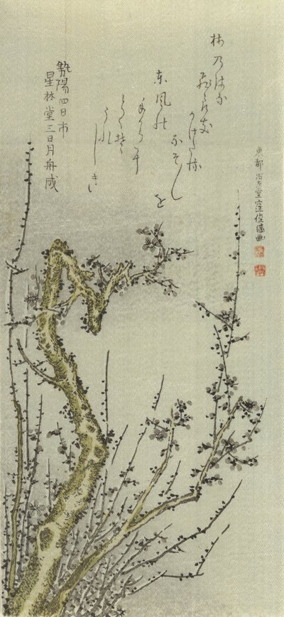 Yaşlı Erik Ağacı, 1796. by Kubo Shunman