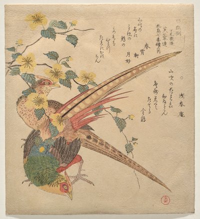 Çin sülünleri ve yamabuki çiçeklerinin bir dalı by Kubo Shunman