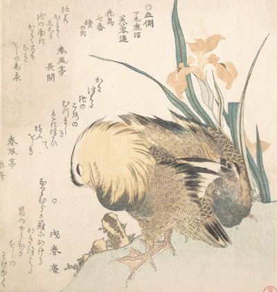 Mandarin Ördeği ve İris Çiçekleri çifti, 18. yüzyılın sonları ve 19. yüzyılın başlarında. by Kubo Shunman
