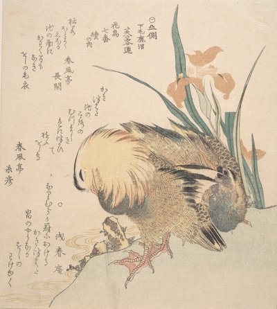 Mandarin Ördeği ve İris Çiçekleri çifti, 18. yüzyılın sonları ve 19. yüzyılın başlarında. by Kubo Shunman