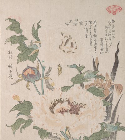 Şakayık ve İris, 19. yüzyıl. by Kubo Shunman
