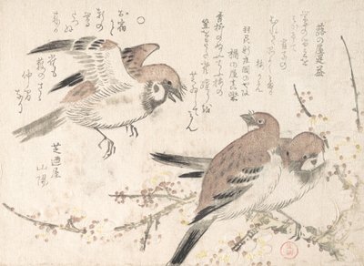 Serçeler ve Erik Çiçekleri, 19. yüzyıl. by Kubo Shunman