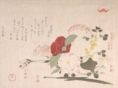 Spring Rain Koleksiyonu Harusame shu, vol. 2: Kesme Çiçekler: Akasma, Otobüs..., 1815 Öküz Yılı. by Kubo Shunman