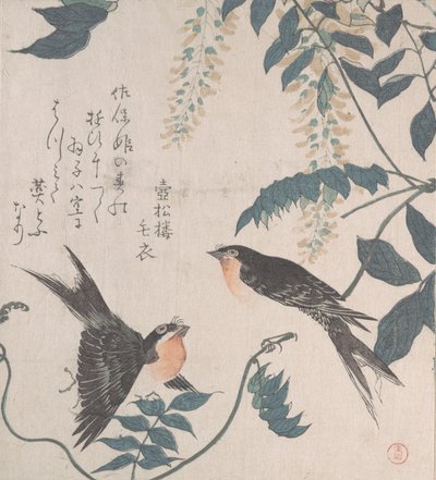 Kırlangıçlar ve Wisteria, 19. yüzyıl. by Kubo Shunman