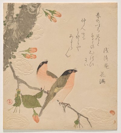 Çift Yapraklı Kiraz Ağacında İki Şakrak Kuşu (Uso ni Yae-zakura) by Kubo Shunman