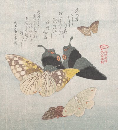 Çeşitli güveler ve kelebekler, 19. yüzyıl. by Kubo Shunman