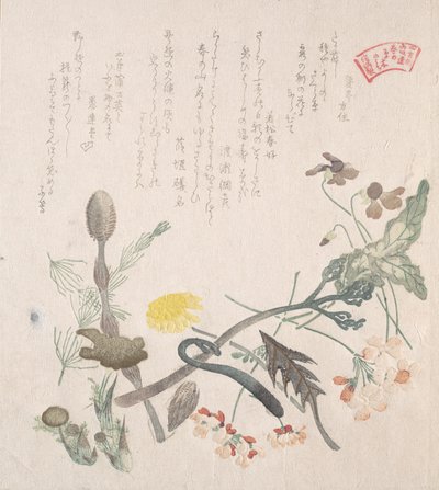 Menekşeler, Primroses ve Diğer Bahar Çiçekleri, 19. yüzyıl. by Kubo Shunman