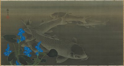 Sazan, Edo dönemi, 19. yüzyılın başı. by Kuroda Toko