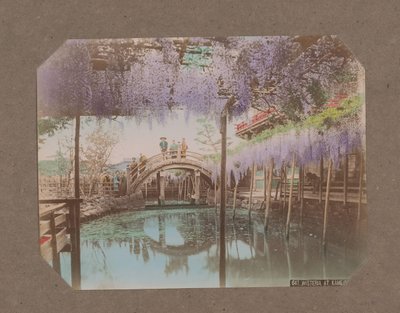 Kameido, Tokyo, Japonya'da ön planda çiçek açan wisteria ile bir köprüde insanlar by Kusakabe Kimbei