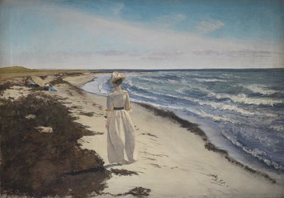 Karrebæksminde Plajı