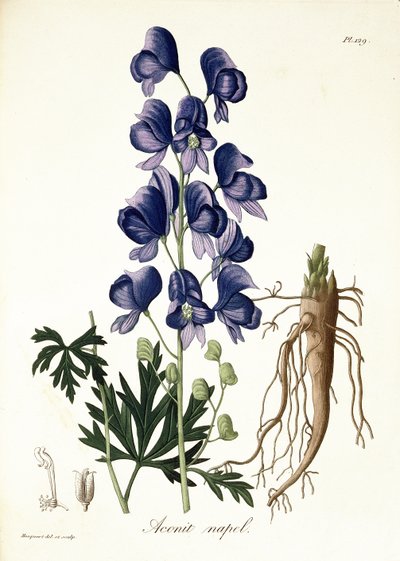 Joseph Roques (1772-1850) tarafından 1821