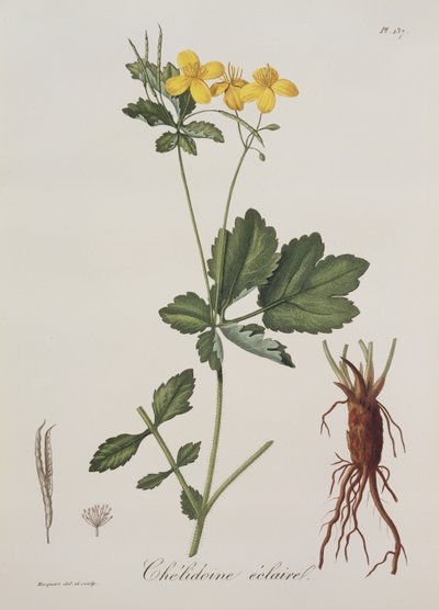 Joseph Roques (1772-1850) tarafından 1821