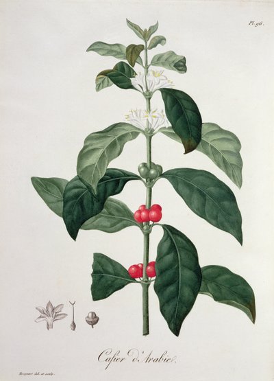 Joseph Roques (1772-1850) tarafından 1821