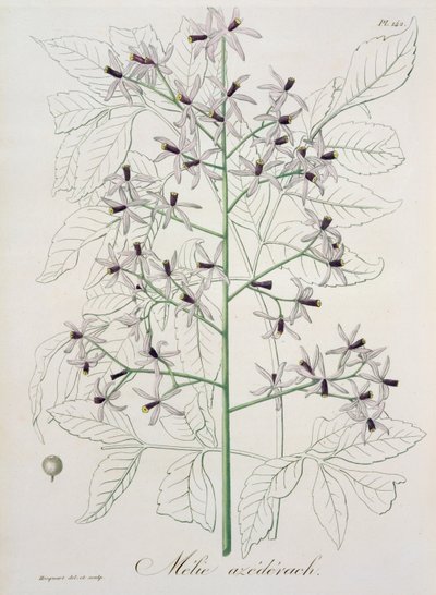 Joseph Roques (1772-1850) tarafından 1821