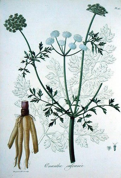 Joseph Roques (1772-1850) tarafından 