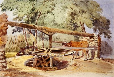 Türk Su Çarkı, Heliopolis by Lady Louisa Tennyson