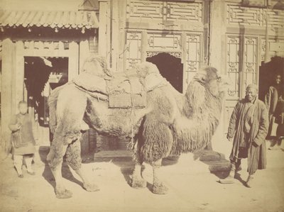 Pekin. ile ilgili. 923, 1867. by Lai Fong.