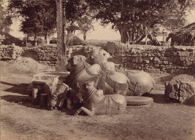  by Lala Deen Dayal