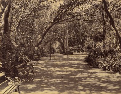 Sukh-Vilas Saray Bahçesi, 1880-90. by Lala Deen Dayal