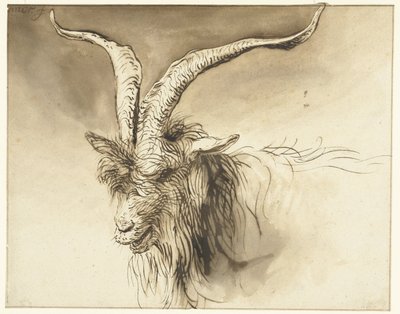 Hollandalı Landrace Keçi Başkanı by Lambert Doomer