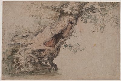 Roelant Savery