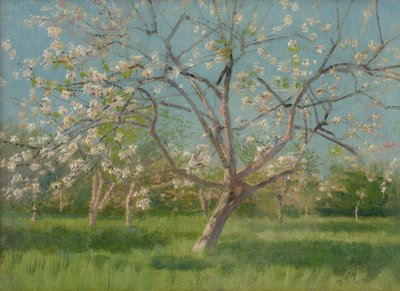 Çiçek açmış meyve bahçesi ağaçları, 1900-10 by Laszlo Mednyanszky
