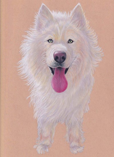 Snowky, 2021 (tonlu kağıt üzerine renkli kalem) by Laurie Michaels