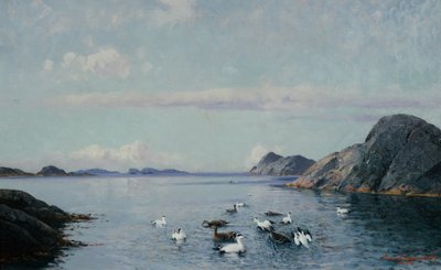 Deniz kuşları ile güney sahili by Lauritz Haaland