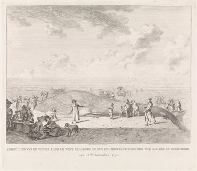 Zandvoort