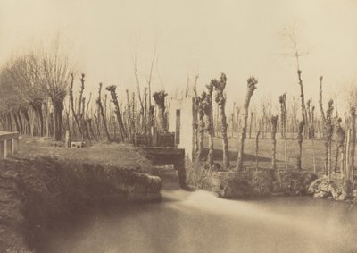  by Léon Gérard