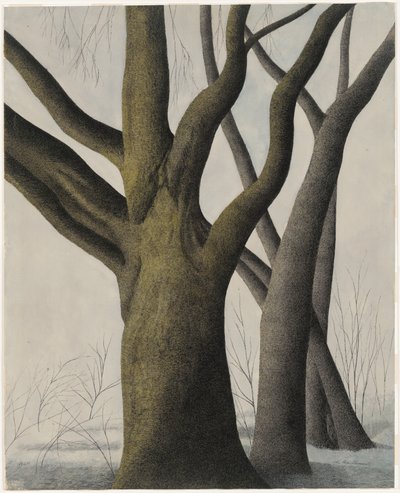  by Leon Spilliaert