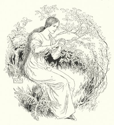 Ormana gittim ve aldım (gravür) by Leonard Leslie Brooke