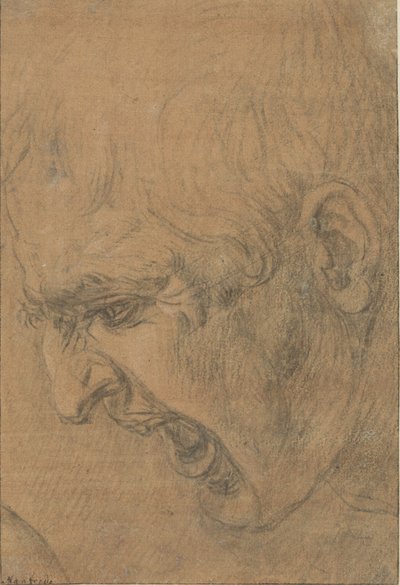 Çığlık atan bir adamın başı by Leonardo da (follower of) Vinci