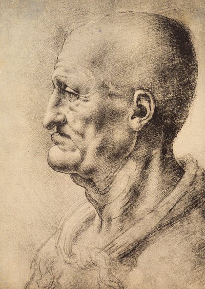 Profilde gösterilen, Leonardo da Vinci